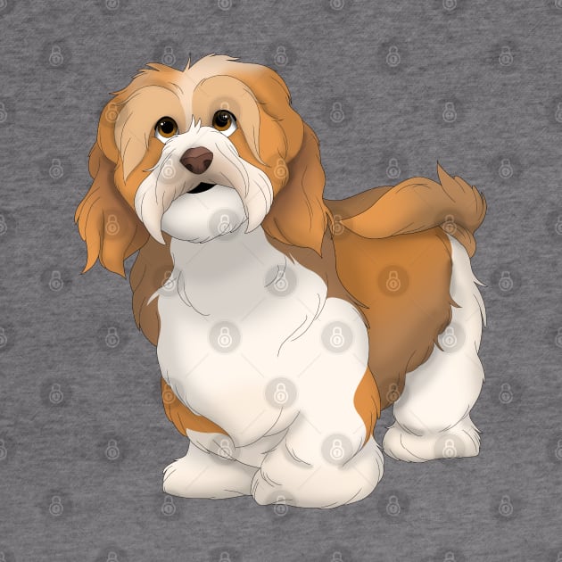 Havanese Dog Color 3 by millersye